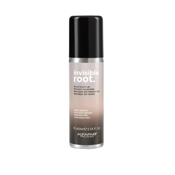 
                  
                    Invisible Root Touch Up Spray
                  
                