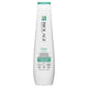 Biolage Scalp Sync Anti Dandruff Shampoo