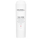 Dualsenses Silver Conditioner